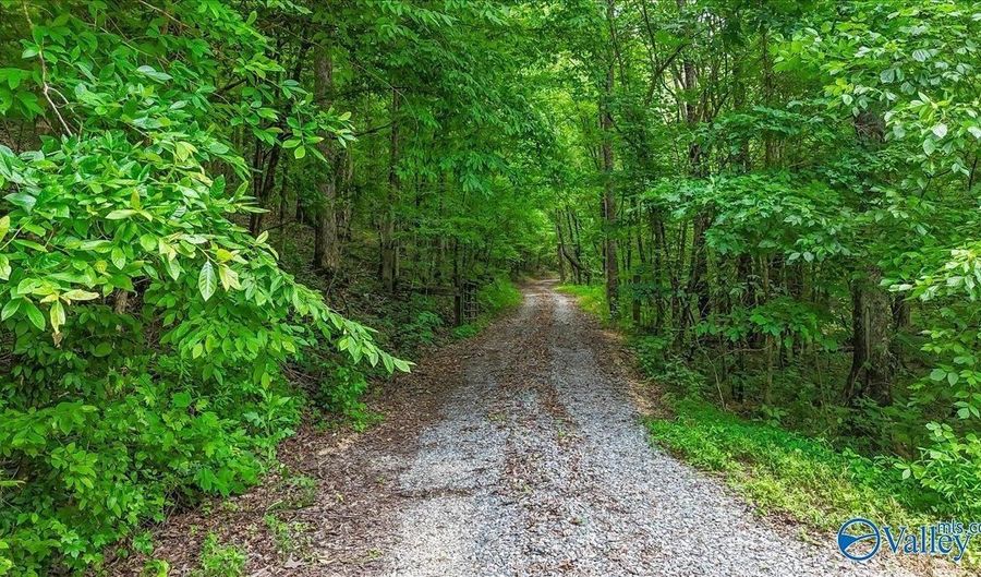 Unit # 0 Murphree Valley Road, Altoona, AL 35952 - 0 Beds, 0 Bath