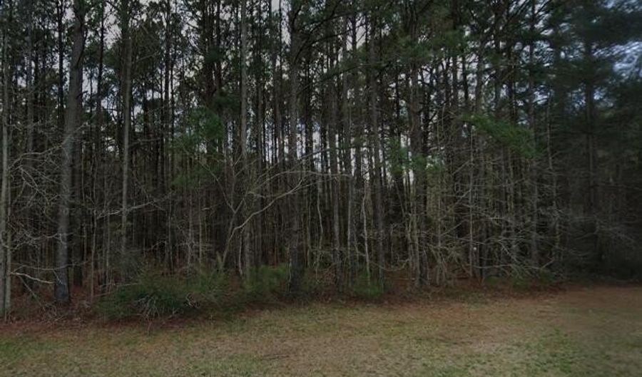 0 Gum Swamp Rd Rd, Ayden, NC 28513 - 0 Beds, 0 Bath