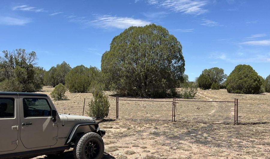21 Off Of Cooks Trl, Ash Fork, AZ 86320 - 0 Beds, 0 Bath