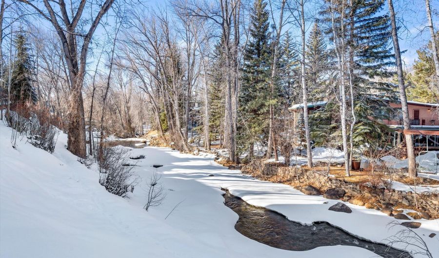 990 E Hopkins Ave, Aspen, CO 81611 - 3 Beds, 3 Bath