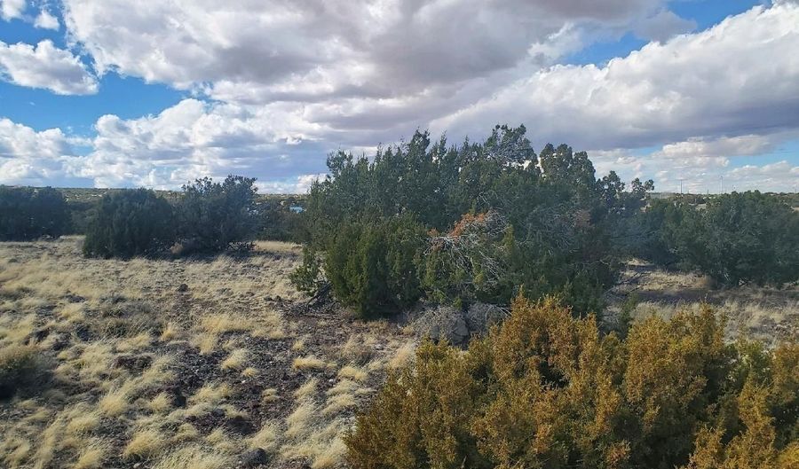 CR 5166, Concho, AZ 85924 - 0 Beds, 0 Bath