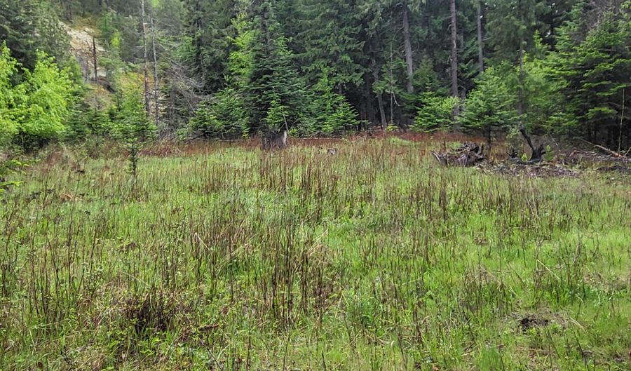 NNA Silver Ave, Bayview, ID 83803 - 0 Beds, 0 Bath