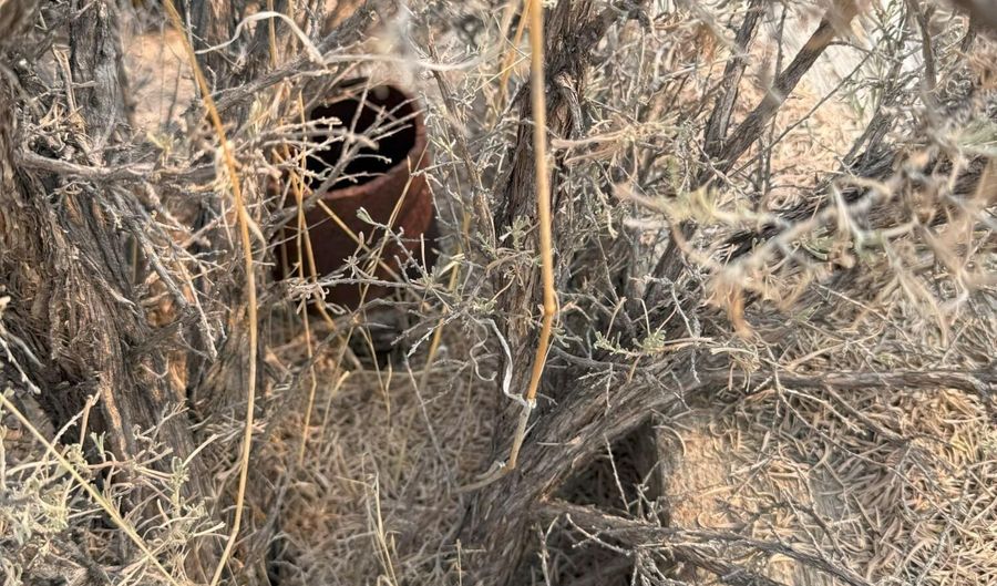 1980 Millard Fillmore Ave, Battle Mountain, NV 89820 - 0 Beds, 0 Bath