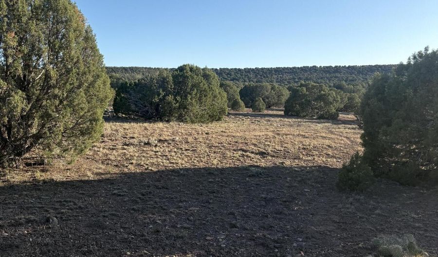 N5547, Concho, AZ 85924 - 0 Beds, 0 Bath