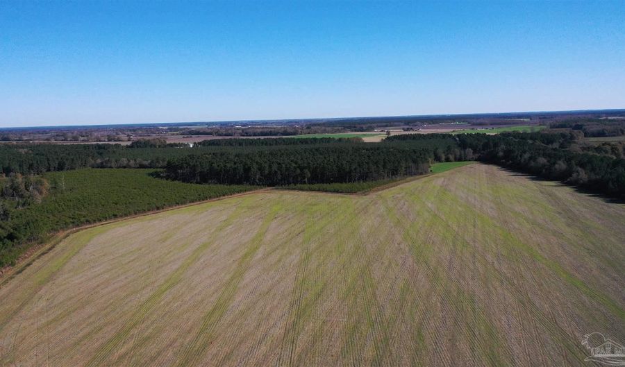 0 Three Mile Rd, Atmore, AL 36502 - 0 Beds, 0 Bath