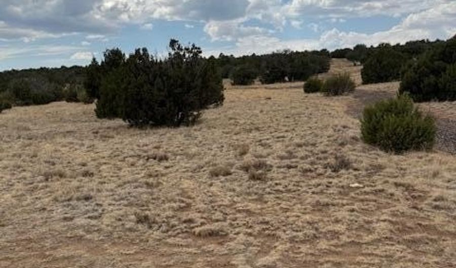 78 County Road 8010, Concho, AZ 85924 - 0 Beds, 0 Bath