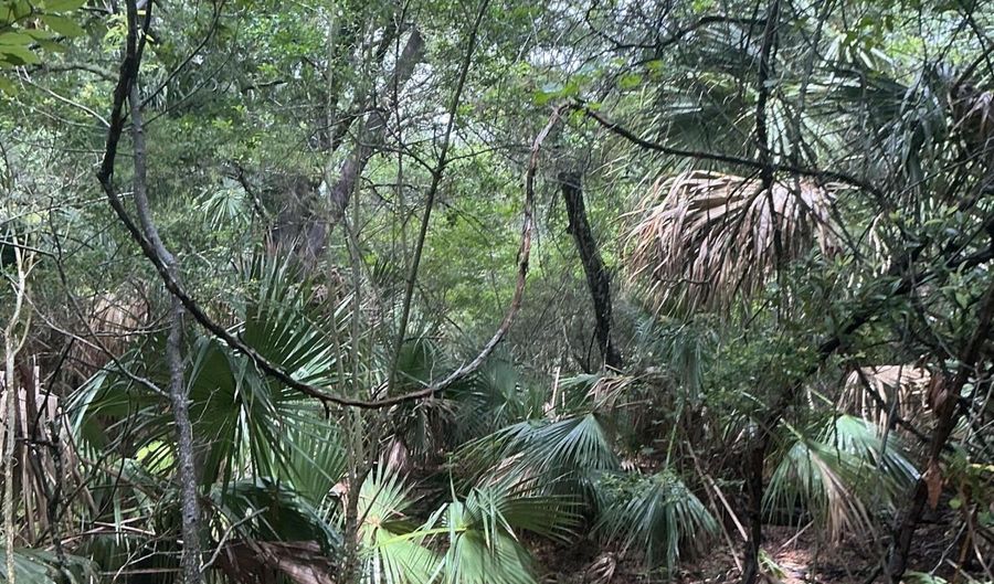 8 Leopard Frog Ct Lot 18, Bald Head Island, NC 28461 - 0 Beds, 0 Bath