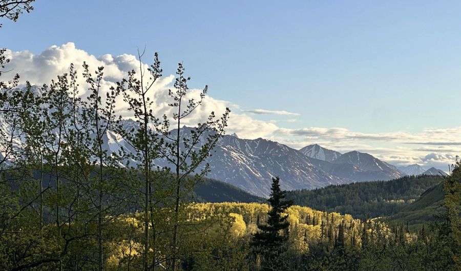 B005 Packsaddle Road, Chickaloon, AK 99674 - 0 Beds, 0 Bath