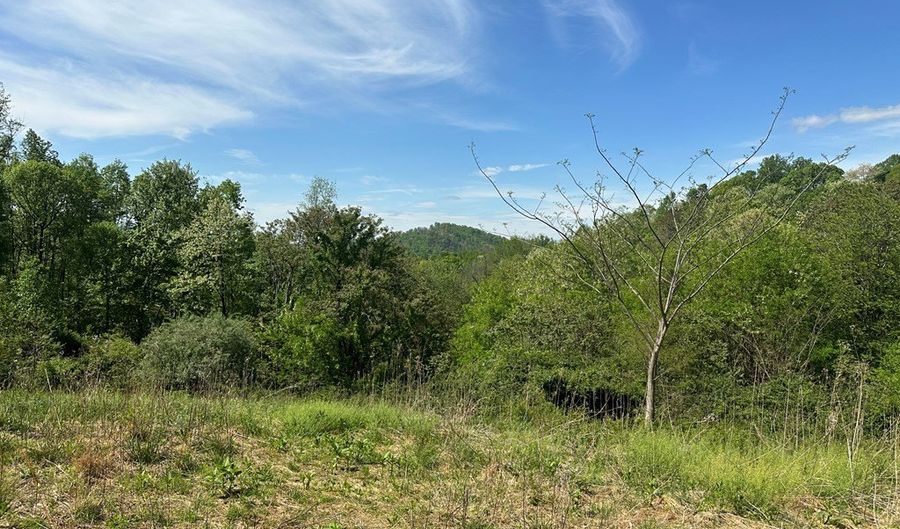 12 Acs Gidsville Rd, Amherst, VA 24521 - 0 Beds, 0 Bath