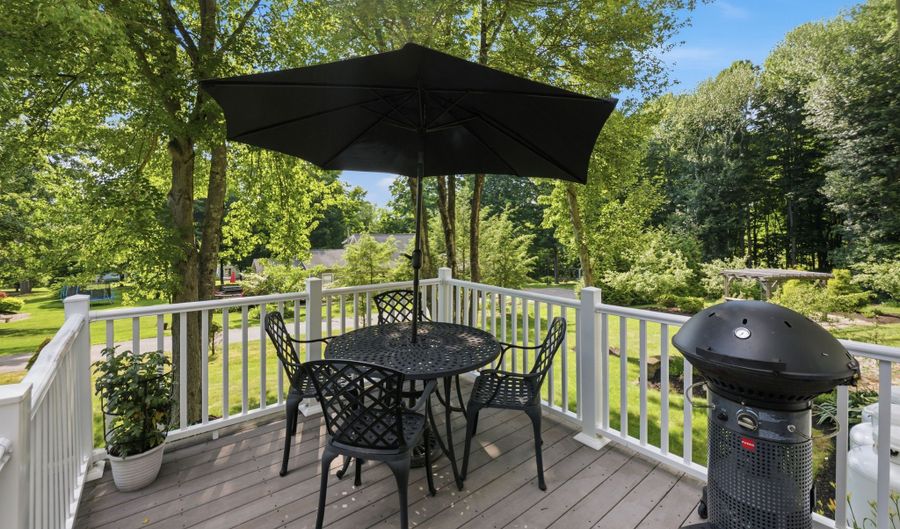 16 Blueberry Hill Rd, Bridgewater, CT 06752 - 4 Beds, 3 Bath