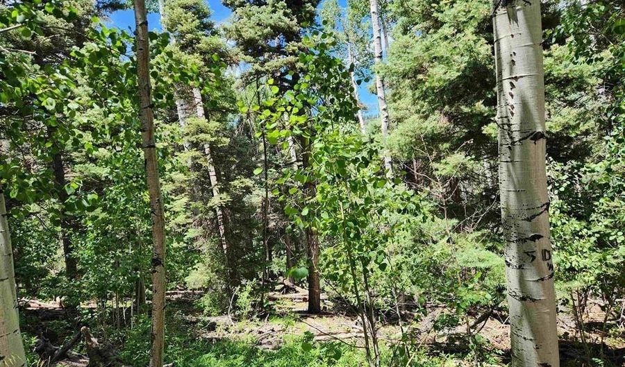 1506 Clarke Mountain Ln, Antonito, CO 81120 - 0 Beds, 0 Bath