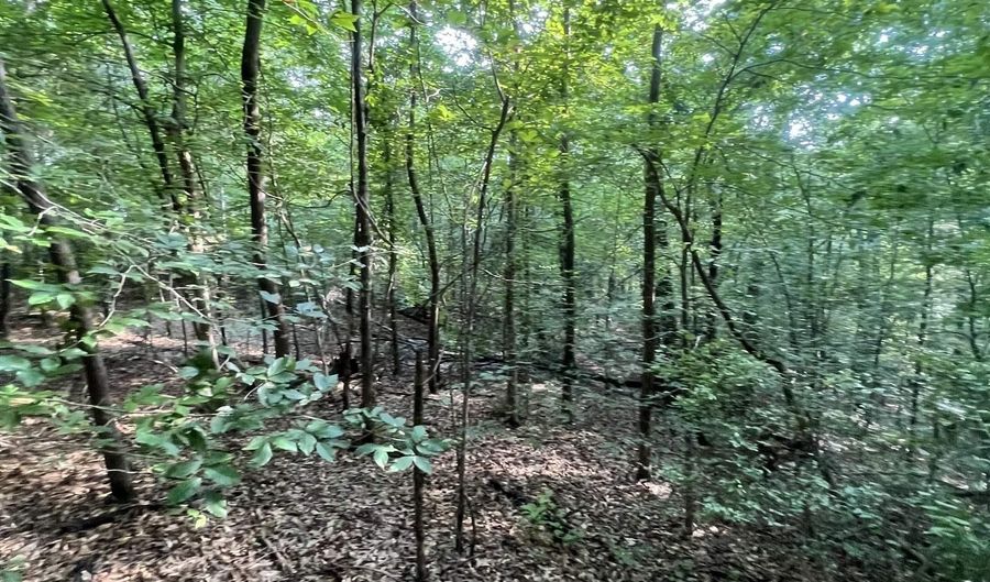 0 ANDREW JACKSON Rd 19, Alexander City, AL 35010 - 0 Beds, 0 Bath