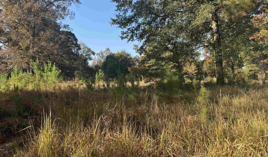 16600 Stacey Rd, Bay Minette, AL 36507 - 0 Beds, 0 Bath