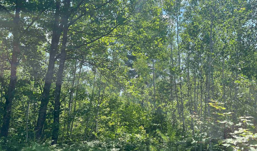 26 Acres Hilltop Kelso, Crystal Falls, MI 49920 - 0 Beds, 0 Bath