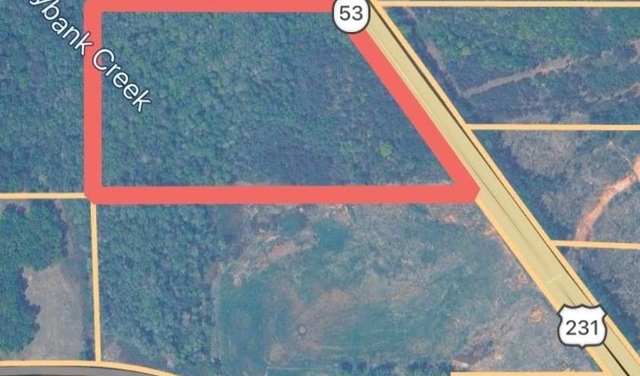 5999 US HWY 231, Ariton, AL 36311 - 0 Beds, 0 Bath