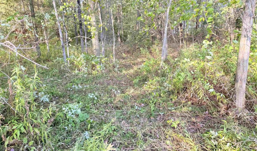 COUNTY ROAD Z lot 4, Aniwa, WI 54408 - 0 Beds, 0 Bath