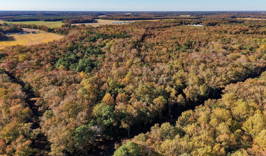 22240 GOOD FLOCKING Way, Frankford, DE 19945 - 0 Beds, 0 Bath