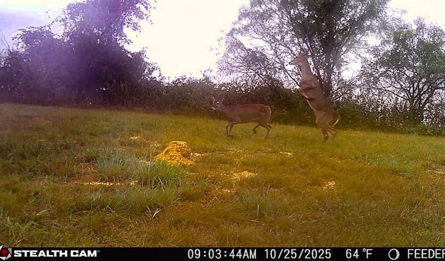 322 Hcr 2320, Abbott, TX 76621 - 3 Beds, 2 Bath