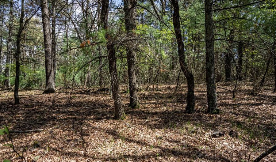 S Badger Lane lot 38, Arkdale, WI 54613 - 0 Beds, 0 Bath
