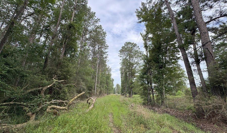 La Highway 442, Albany, LA 70711 - 0 Beds, 0 Bath