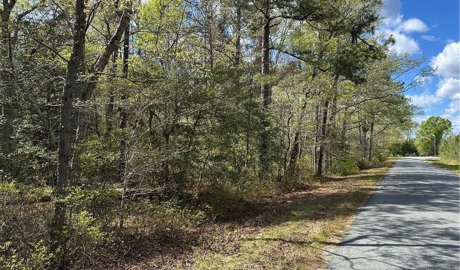 00 Briery Swamp Rd, Jamaica, VA 23079 - 0 Beds, 0 Bath