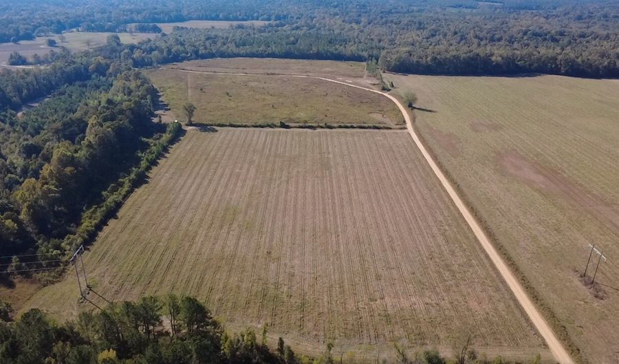 0 Bar M Farm Rd, Andalusia, AL 36421 - 0 Beds, 0 Bath