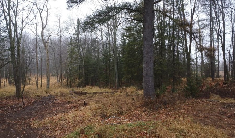 N10595 HWY 45, Aniwa, WI 54414 - 0 Beds, 0 Bath