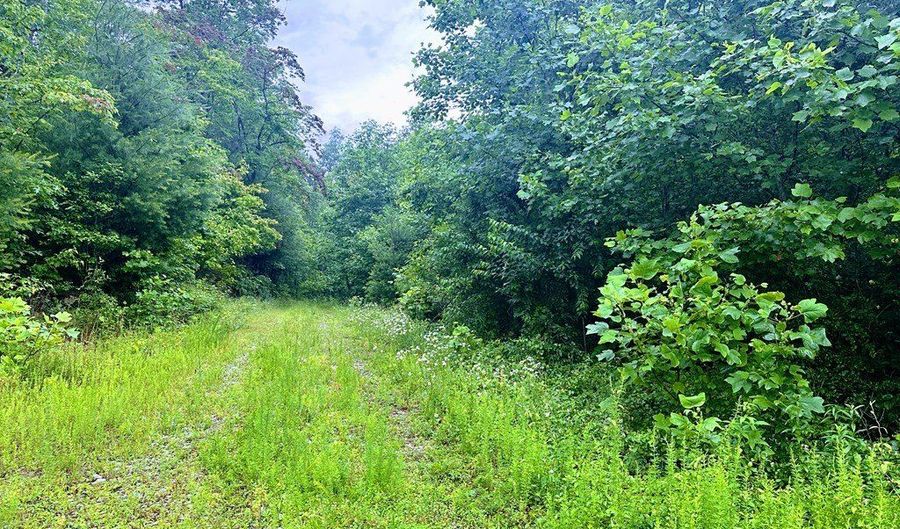 13 44 Ac Chestnut Ridge Rd, Allardt, TN 38504 - 0 Beds, 0 Bath