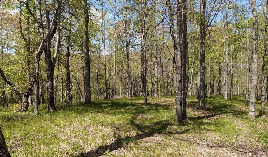 27 Woodtrail Way, Arden, NC 28704 - 0 Beds, 0 Bath