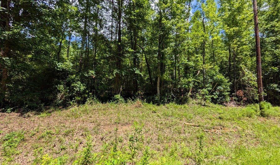Lot 507 Lakeshore Dr, Abbeville, AL 36310 - 0 Beds, 0 Bath