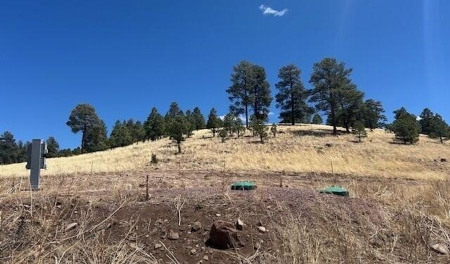 6 County Road 2331, Alpine, AZ 85920 - 0 Beds, 0 Bath