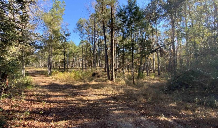 10 Drinkard Rd, Bay Minette, AL 36507 - 0 Beds, 0 Bath