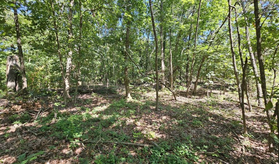 65 Acres Plainview Rd, Anderson, MO 64831 - 0 Beds, 0 Bath