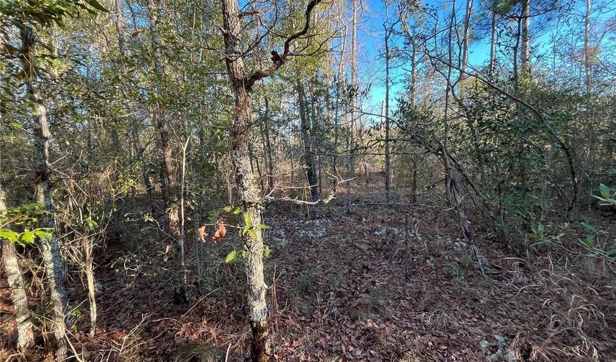 Goreville Avenue, Alford, FL 32420 - 0 Beds, 0 Bath