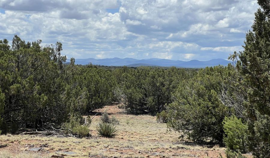 Tbd County Road 8309, Concho, AZ 85924 - 0 Beds, 0 Bath
