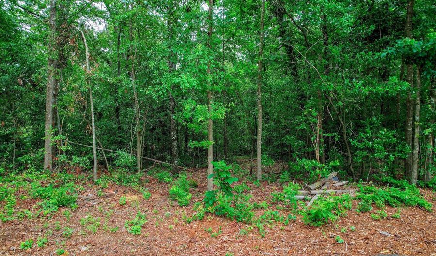 Vanderbilt Drive, Aiken, SC 29803 - 0 Beds, 0 Bath