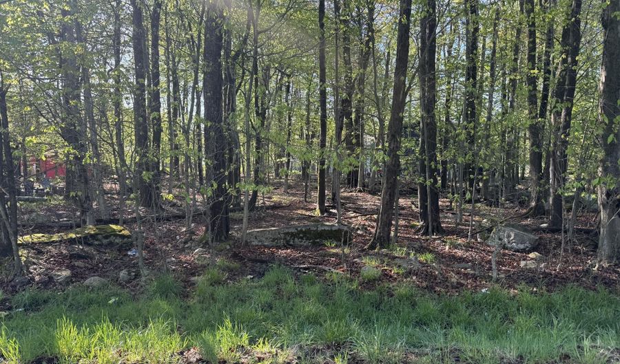 Lot K204 Knollwood Dr Drive, Tobyhanna, PA 18466 - 0 Beds, 0 Bath