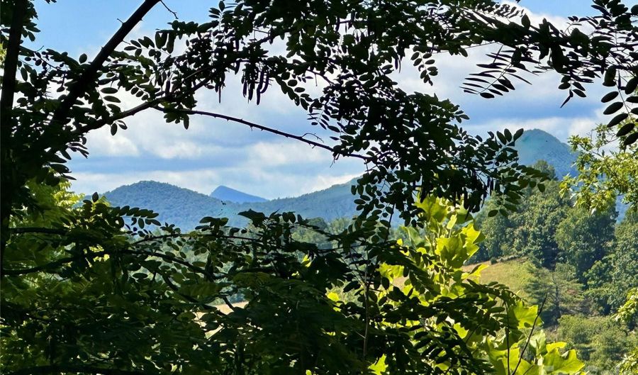 2825 Harrell Hill Rd, Bakersville, NC 28705 - 0 Beds, 0 Bath
