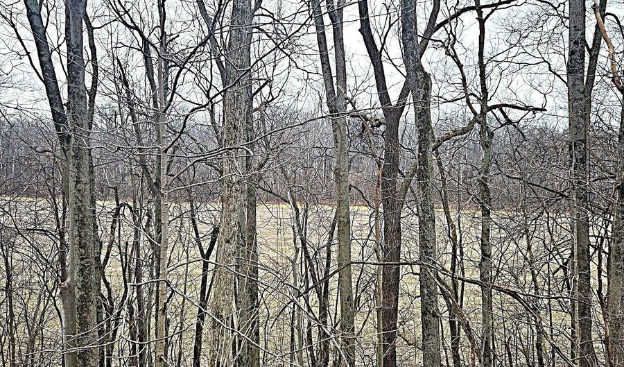 5921 N County Road 500 E, Bainbridge, IN 46105 - 0 Beds, 0 Bath
