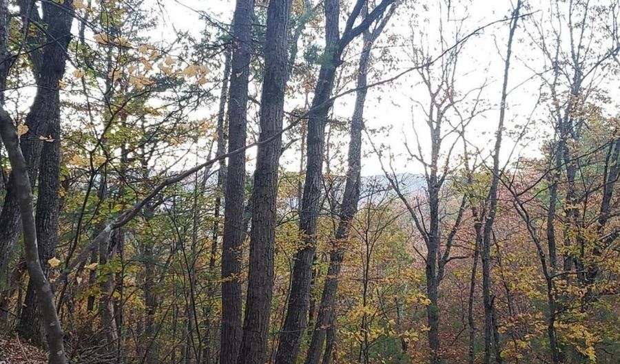 FAIRWAY Avenue lot 30, Basye, VA 22810 - 0 Beds, 0 Bath