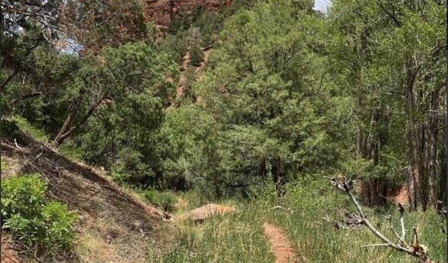 1200 Frying Pan Rd, Basalt, CO 81621 - 0 Beds, 0 Bath