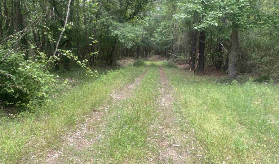 Bruno Rd, Andalusia, AL 36421 - 0 Beds, 0 Bath