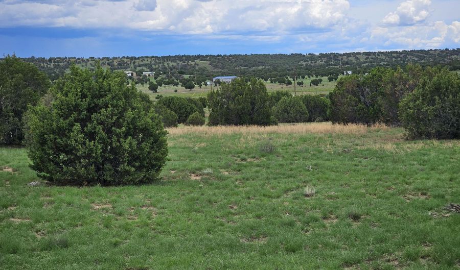 Birdwing Lane, Clay Springs, AZ 85923 - 0 Beds, 0 Bath