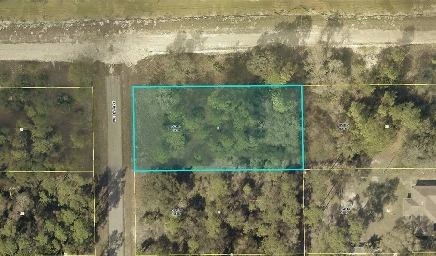2120 Wells Ave, Alva, FL 33920 - 0 Beds, 0 Bath
