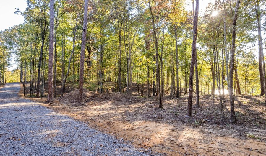 LOT 3 ROCK RIDGE SUBDIVISION, Arley, AL 35541 - 0 Beds, 0 Bath
