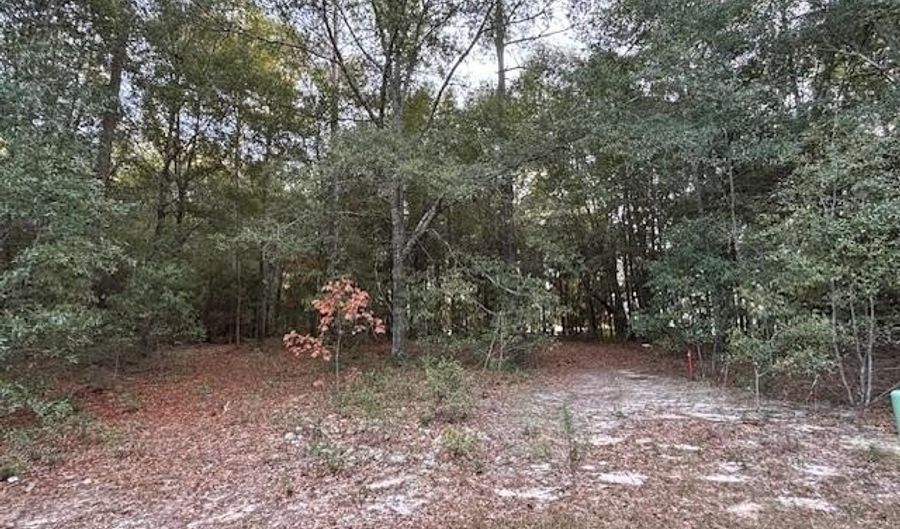 Lot 31 Marie Lane, Bainbridge, GA 39817 - 0 Beds, 0 Bath