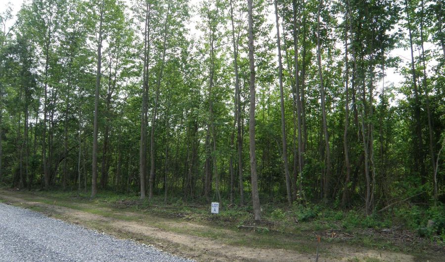 SHORTLY RD lot A, Georgetown, DE 19947 - 0 Beds, 0 Bath