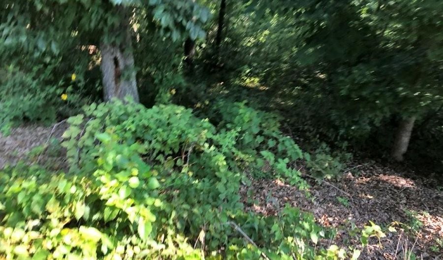 Lot 16 Bingley LN, Bella Vista, AR 72714 - 0 Beds, 0 Bath