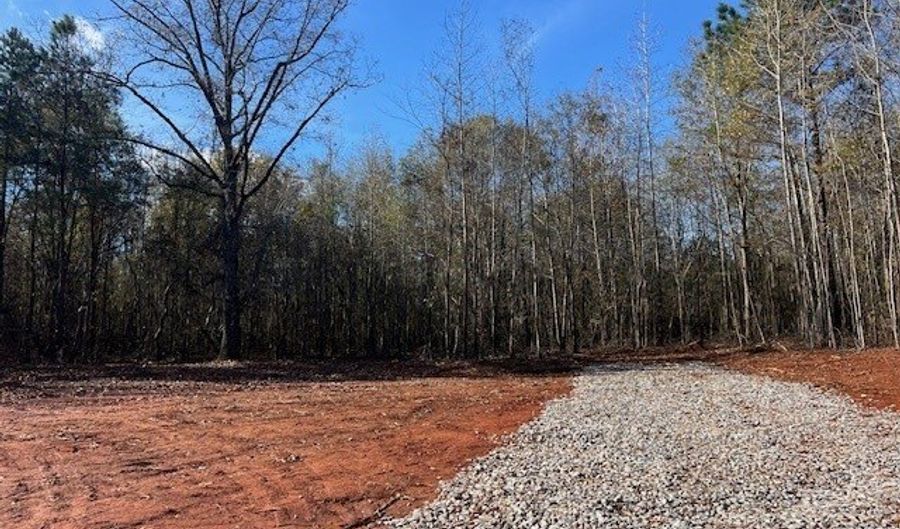 146 Berry Rd, Barnesville, GA 30204 - 0 Beds, 0 Bath