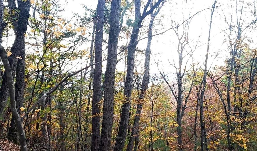 FAIRWAY Drive lot 31, Basye, VA 22810 - 0 Beds, 0 Bath